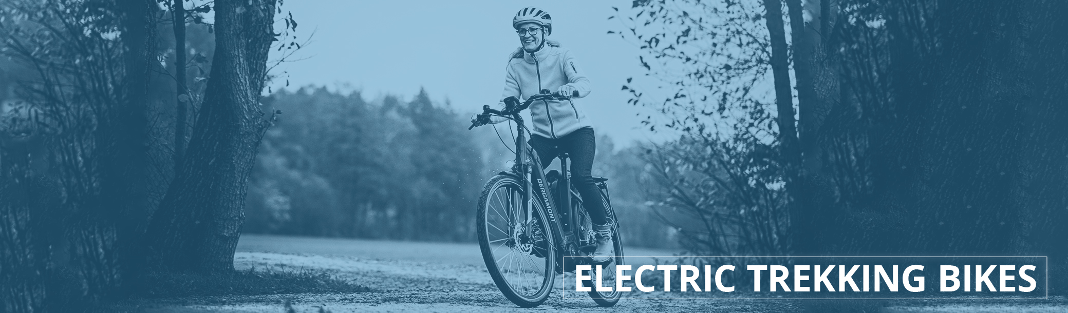 Electric Trekking Bikes at Eurocycles Ireland's bike Shop