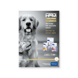 HPM Junior / Seniorhund - Plakat