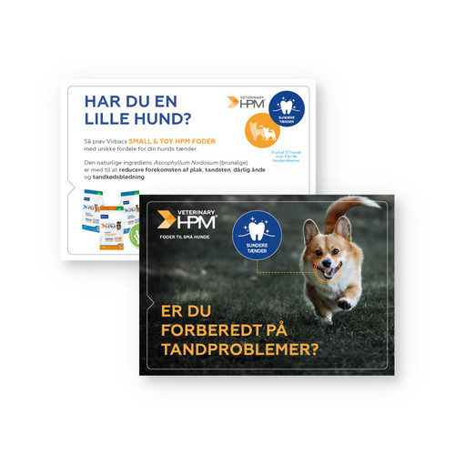 HPM Small & Toy Dental Teaser kort / A6