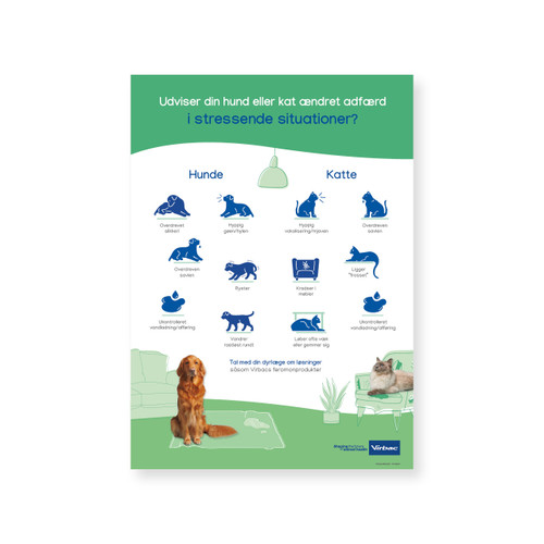 Zen Plakat / hund & kat - 50 x 70 cm