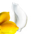 SpaTeen Blemished Skin Moisturizer