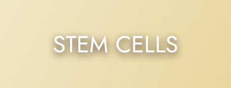 Shop the Stem Cells Collection