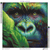 Emerald King Emerald King