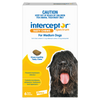 Interceptor Spectrum Chews Medium Dog Yellow