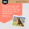 Black Hawk Grain Free Salmon Dry Adult Dog Food review