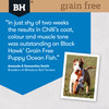 Black Hawk Grain Free Ocean Fish Dry Puppy Food review