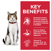 Hill's Science Diet Active Longevity Chicken Adult 7+ Wet Cat Food Pouches