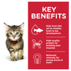 Hill's Science Diet Kitten Healthy Development Ocean Fish Wet Cat Food Pouches