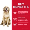 Hill's Science Diet Adult Perfect Weight Dry Dog Food