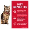 Hill's Science Diet Sensitive Stomach & Skin Adult Dry Cat Food