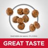 Hill's Science Diet Small Paws Chicken Adult Dry Dog Food