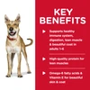 Hill's Science Diet Chicken & Barley Entree Adult Wet Dog Food