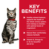 Hill's Science Diet Urinary Hairball Control Adult Wet Cat Food
