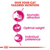 Royal Canin Exigent Aroma Adult Dry Cat Food