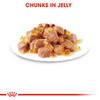 Royal Canin Adult Instinctive in Jelly Wet Cat Food Pouches
