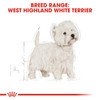 Royal Canin West Highland Terrier Adult Dry Dog Food