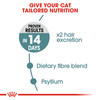 Royal Canin Hairball Care Adult Dry Cat Food