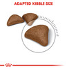 Royal Canin Hairball Care Adult Dry Cat Food