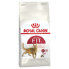 Royal Canin Fit Adult Dry Cat Food