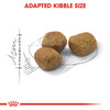 Royal Canin Fit Adult Dry Cat Food