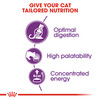 Royal Canin Sensible Adult Dry Cat Food