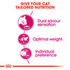Royal Canin Exigent Savour Adult Dry Cat Food