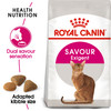 Royal Canin Exigent Savour Adult Dry Cat Food