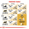 Royal Canin British Shorthair Adult Dry Cat Food