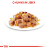 Royal Canin Ultra Light in Gravy Wet Cat Food Pouch