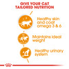 Royal Canin Intense Beauty in Gravy Wet Cat Food Pouches