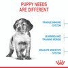 Royal Canin Medium Puppy Dry Dog Food