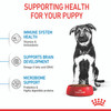 Royal Canin Maxi Puppy Dry Dog Food