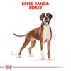 Royal Canin Boxer Adult Dry Dog Food