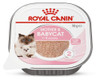 Royal Canin Mother & Babycat Wet Cat Food Tray