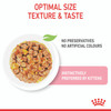 Royal Canin Kitten Instinctive in Jelly Wet Cat Food Pouches