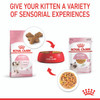 Royal Canin Kitten Instinctive in Jelly Wet Cat Food Pouches