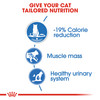 Royal Canin Ultra Light in Jelly Wet Cat Food Pouches
