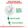 Royal Canin Mini Ageing 12+ Senior Dry Dog Food