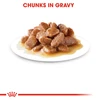 Royal Canin Hairball Care in Gravy Wet Cat Food Pouches