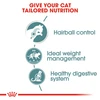 Royal Canin Hairball Care in Gravy Wet Cat Food Pouches