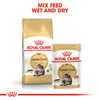 Royal Canin Maine Coon Adult Wet Cat Food Pouches