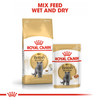 Royal Canin British Shorthair Wet Cat Food Pouches