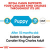 Royal Canin Cavalier King Charles Puppy Dry Dog Food