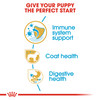 Royal Canin Poodle Puppy Dry Dog Food