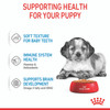 Royal Canin Medium Puppy Wet Dog Food Pouches
