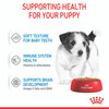Royal Canin Mini Puppy Wet Dog Food Pouches