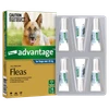 Advantage For Extra Large Dogs Dark Blue