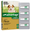 Advantage For Small Dogs and Puppies Green