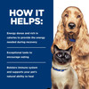 Hill's Prescription A/D Canine/Feline Urgent Care Wet Food