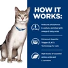 Hill's Prescription Diet k/d Kidney Care PÃƒÂ¢tÃƒÂ© with Chicken Wet Cat Food